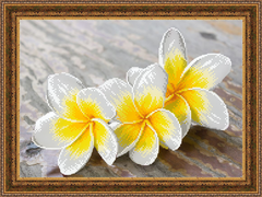 Схема для вышивки бисером Гавайские цветы ФК-016 (габардин)