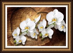 Схема для вышивки бисером Белая орхидея ФК-040 (габардин)