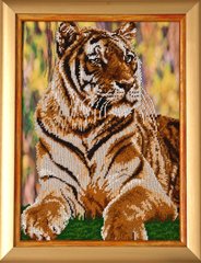 Схема для вышивки бисером Бенгальский тигр Т-021 (габардин)