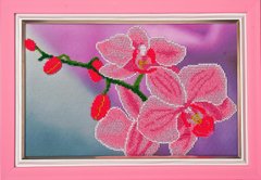 Схема для вышивки бисером Розовые Орхидеи К-028 (габардин)